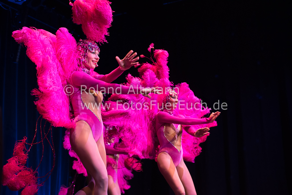 Preview 20151231_Roland_Altmann_7500363.jpg